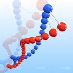 Red and Blue DNA Chain